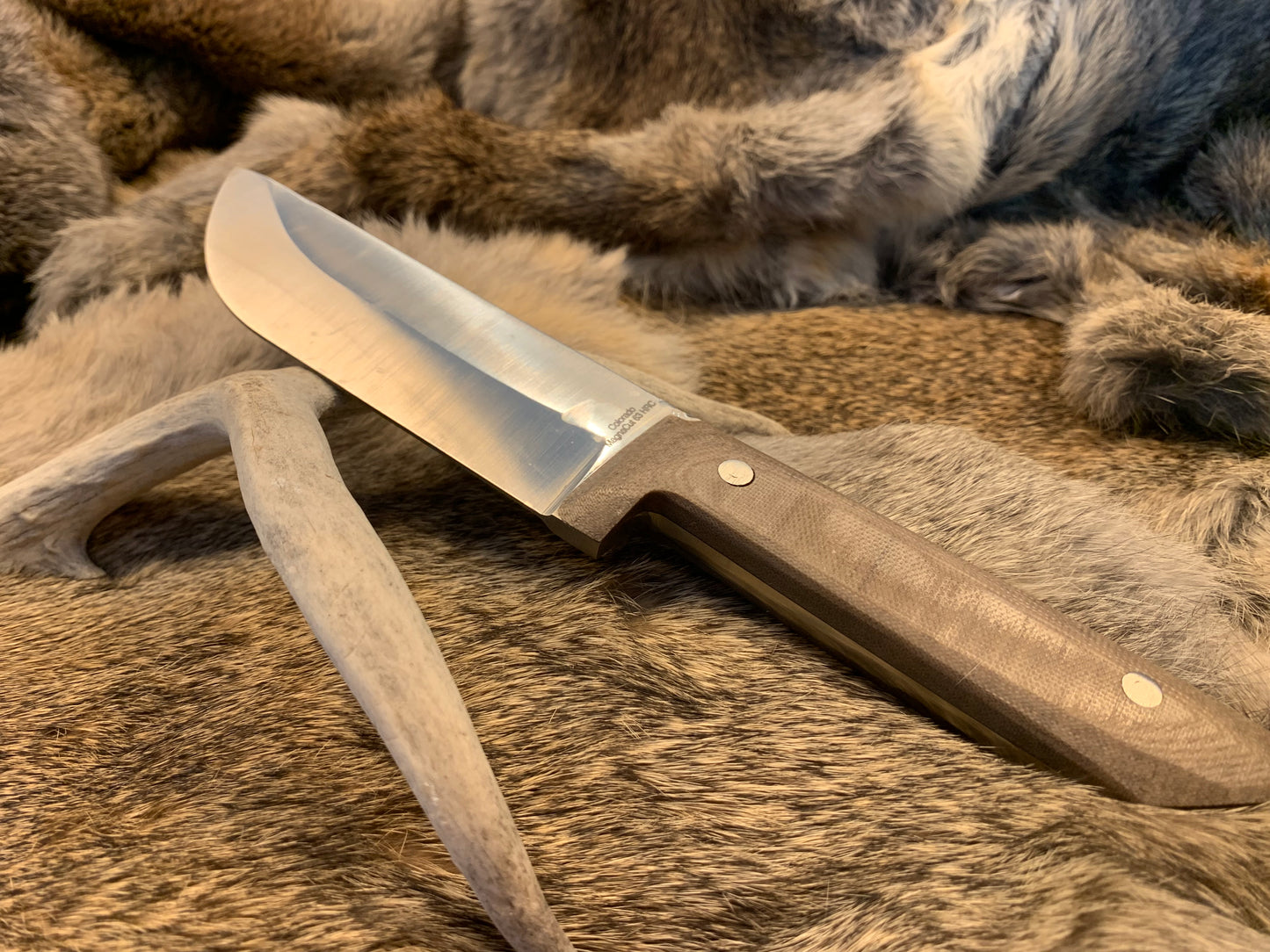 The Thin Hunter Long V #0017