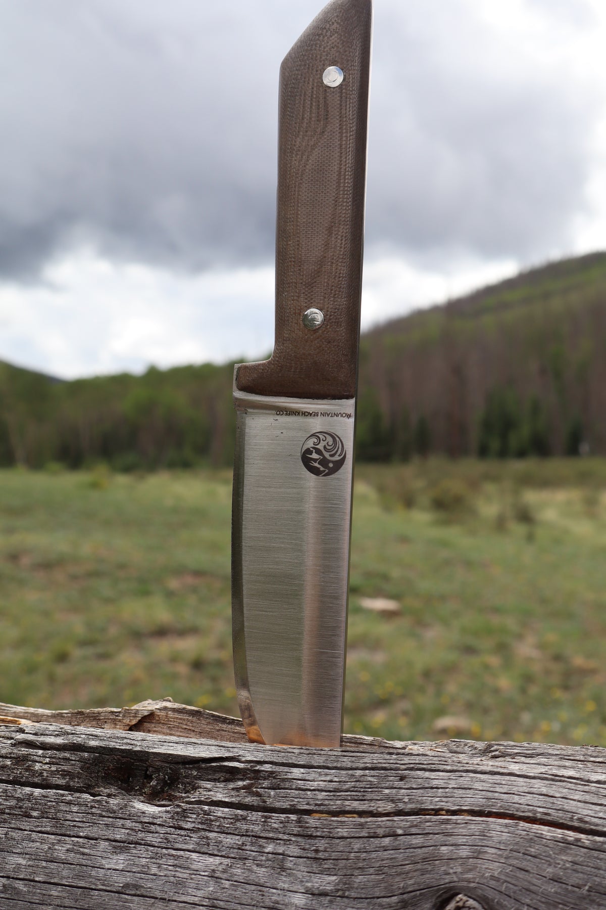 Short Hunter