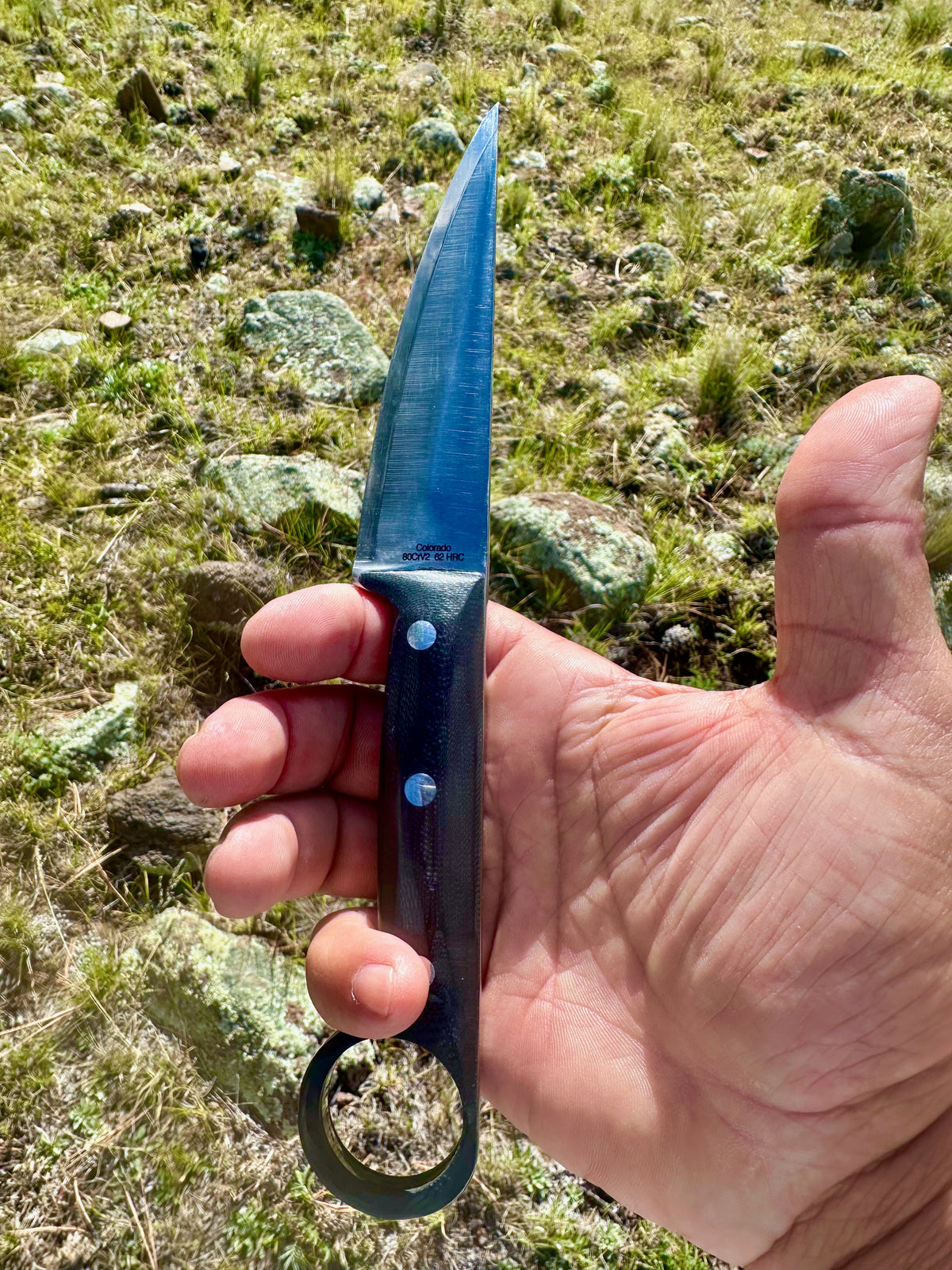 The Aegis