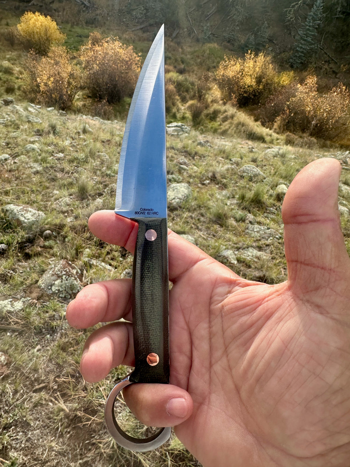 The Aegis