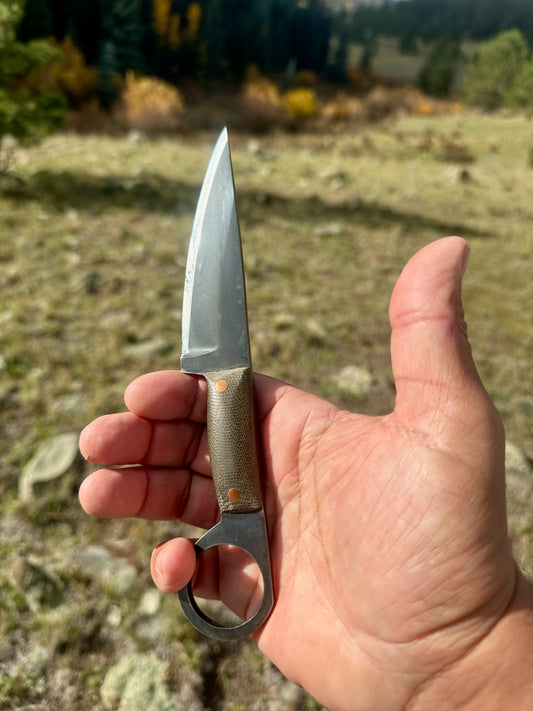 The Aegis