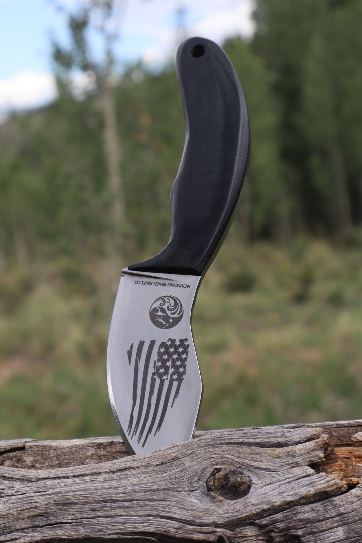 The Skinner